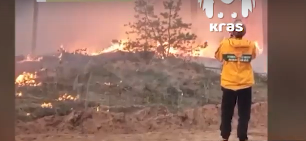     В Богучанском районе произошёл сильный лесной пожар