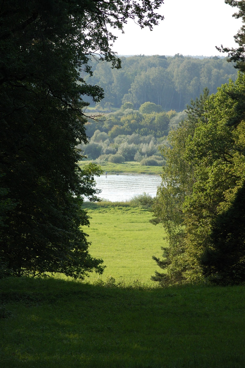 Поленово. Виды