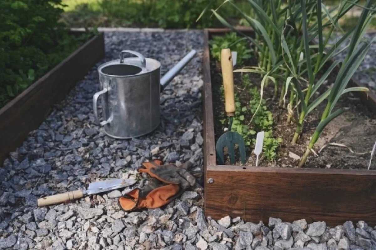    Нотариус Корнилова рассказала, как выбрать участок и не потерять деньги