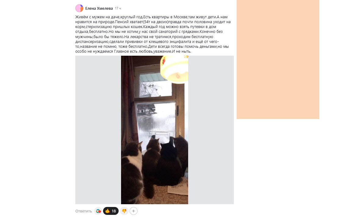 Скриншот комментария с моего канала Домсоветы