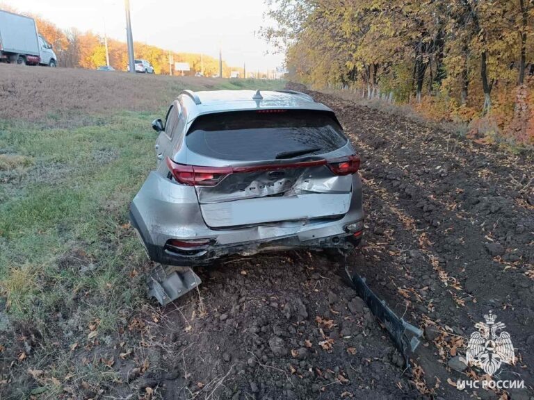    Фото: МЧС России Илья Федоров