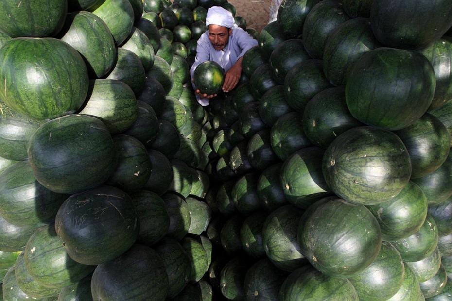    Wissam Nassar/ZUMAPRESS/Global Look Press