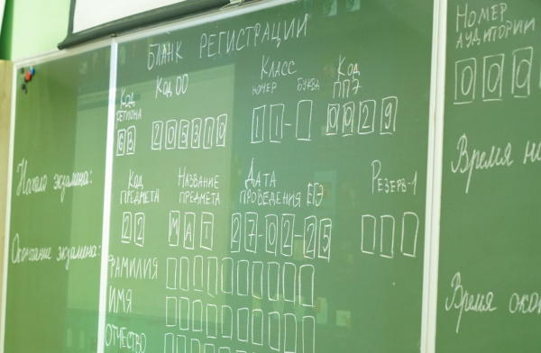 Как проверить результаты ЕГЭ в 2025 году: пошаговая инструкция