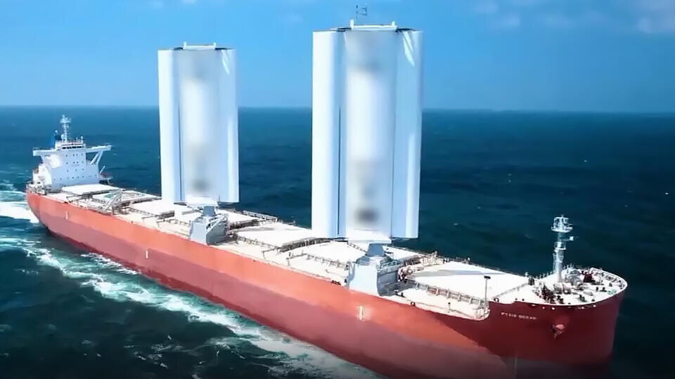 Фото: © Кадр из программы "Как устроен мир", РЕН ТВ