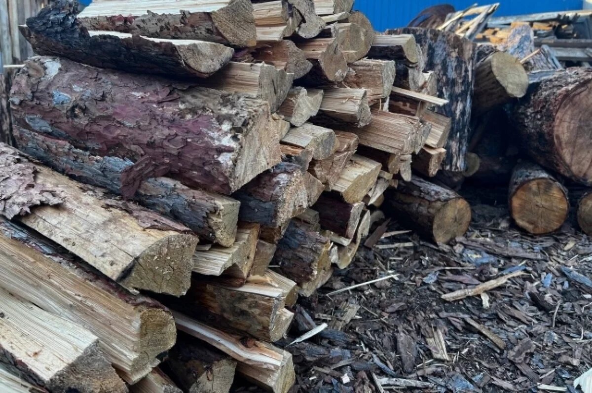    Житель Прикамья извинился за побои и разрыв лёгкого заготовкой дров