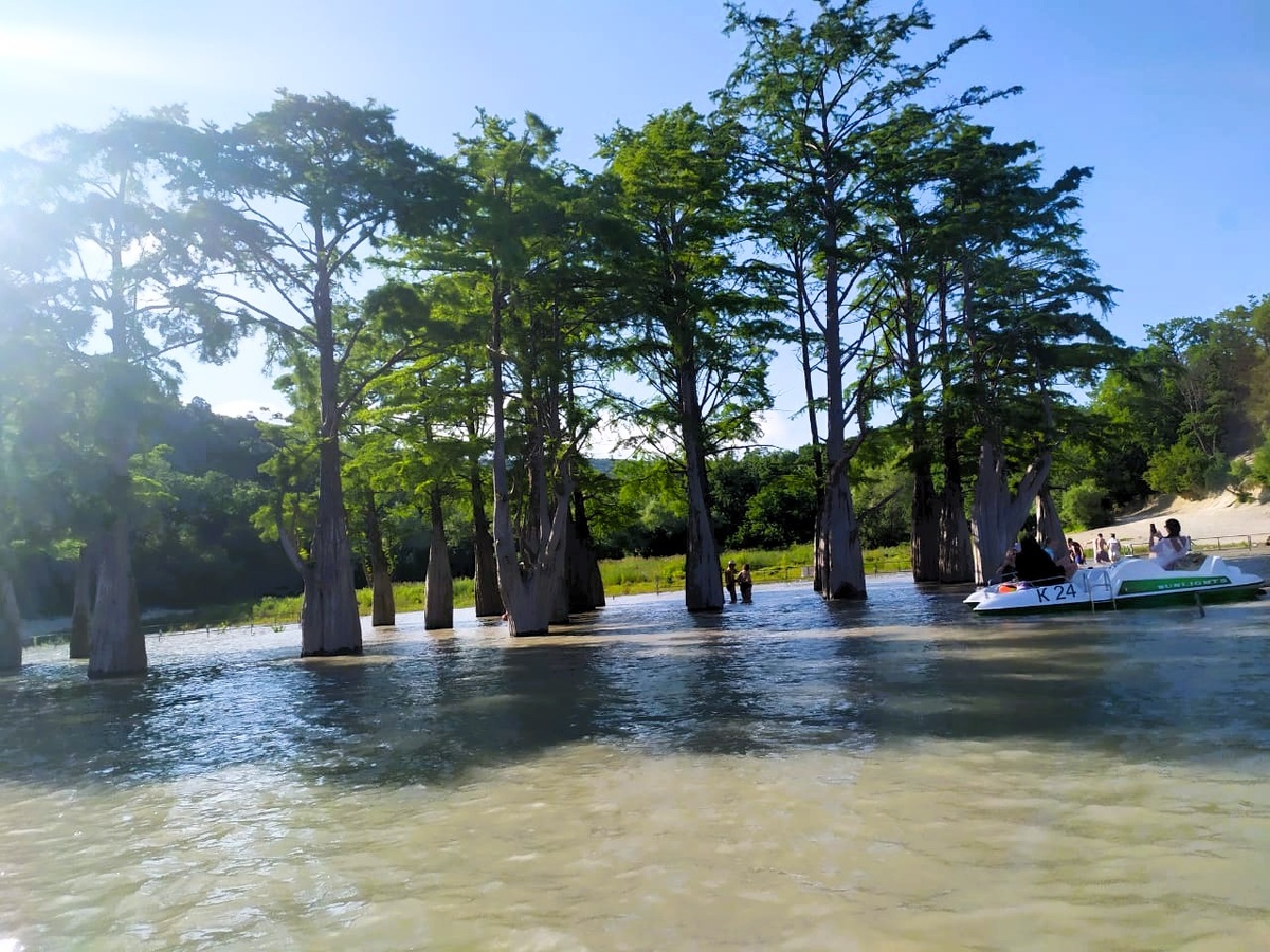 Кипарисовое озеро в Сукко. Фото автора