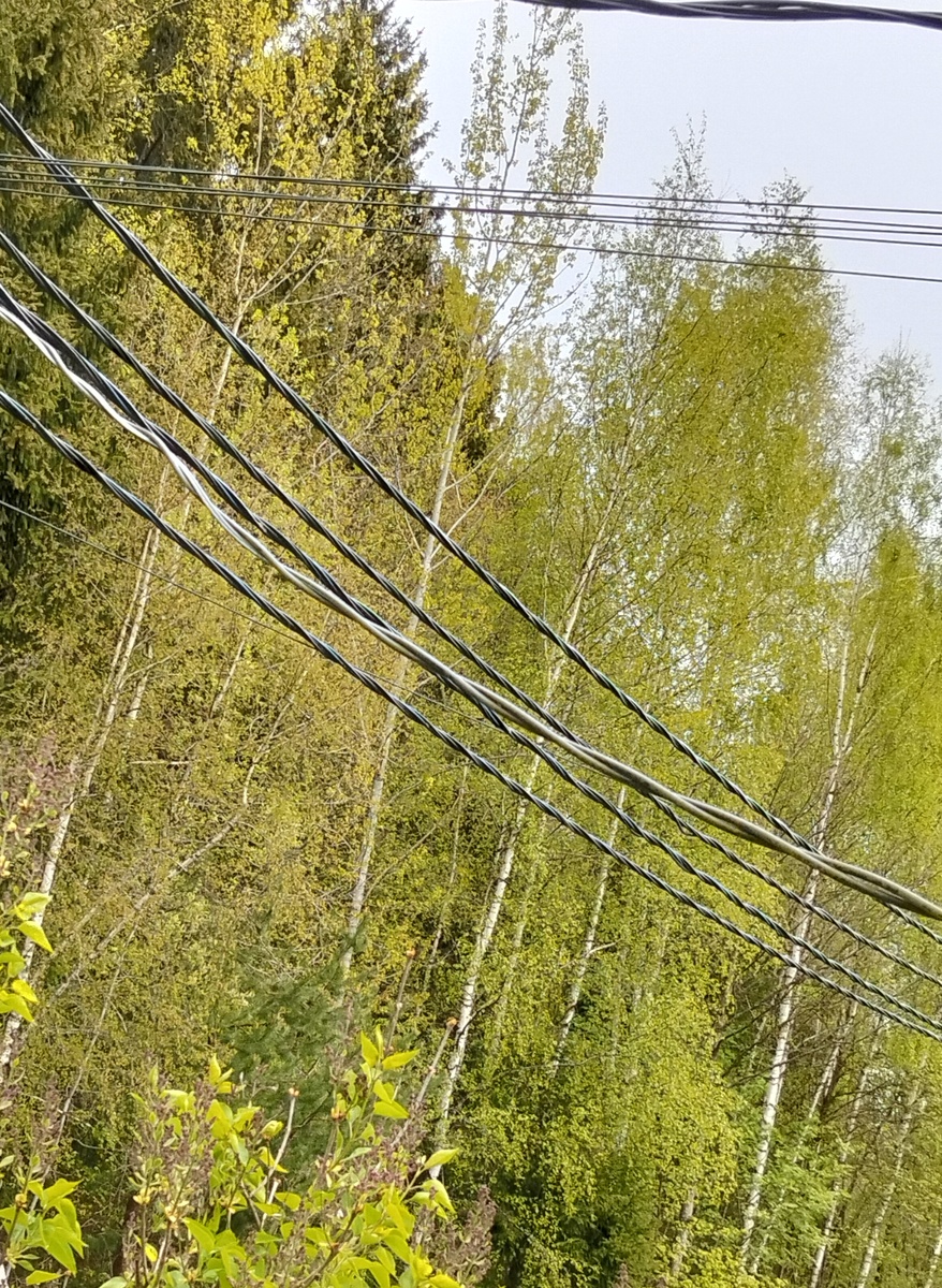 Вид из окна моей кухни. 