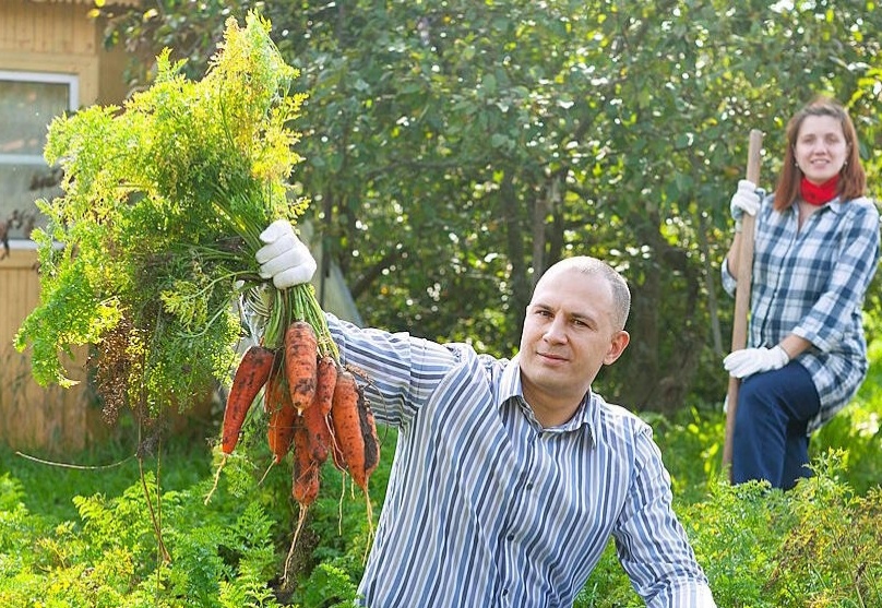 Фото из интернета. 