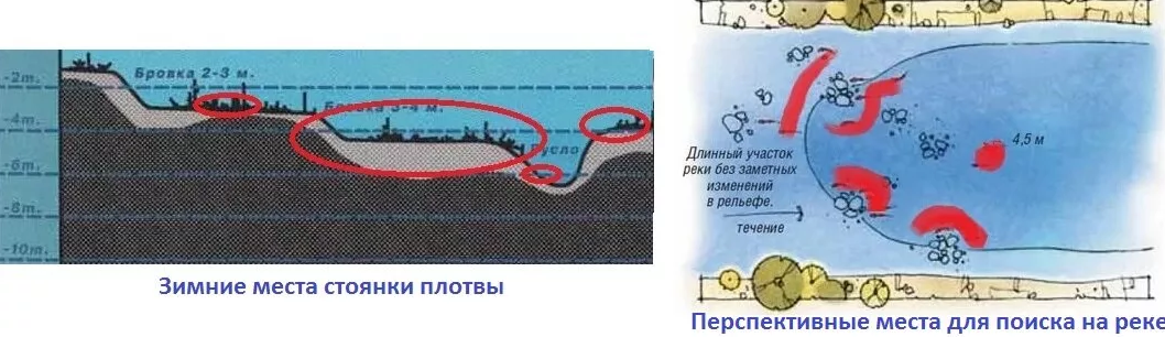 места стоянки плотвы зимой, где ловить плотву со льда