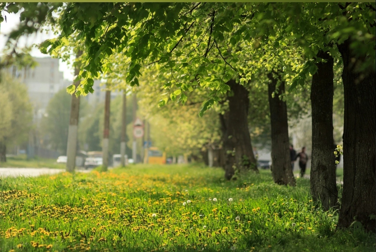 Фото с простор интернета 