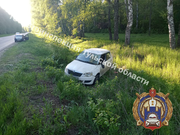     Фото: пресс-служба управления ГАИ по Тульской области