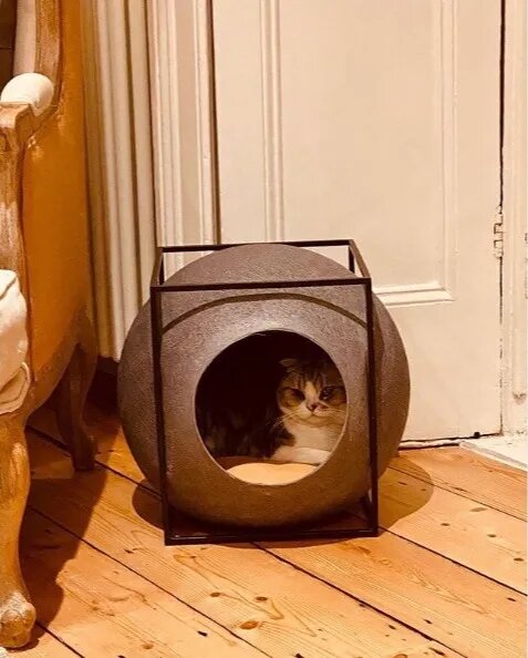 Скромная перед камерой Мередит…
Источник: Instagram