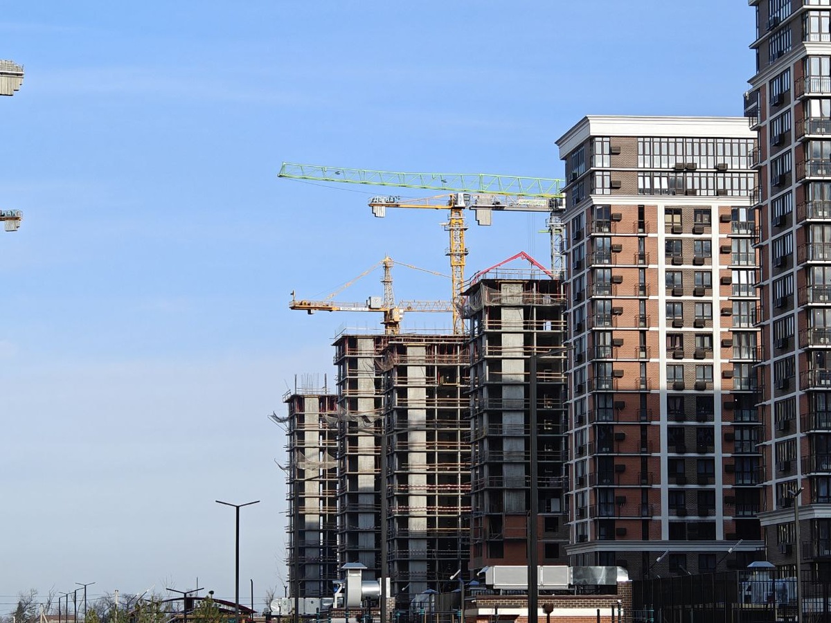    Фото: Юрий Серебренников/BFM Кубань