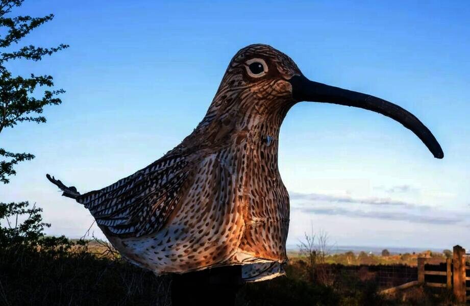    Фото: smithsonianmag.com