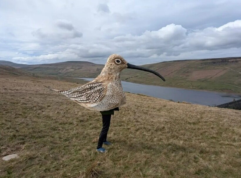    Фото: smithsonianmag.com