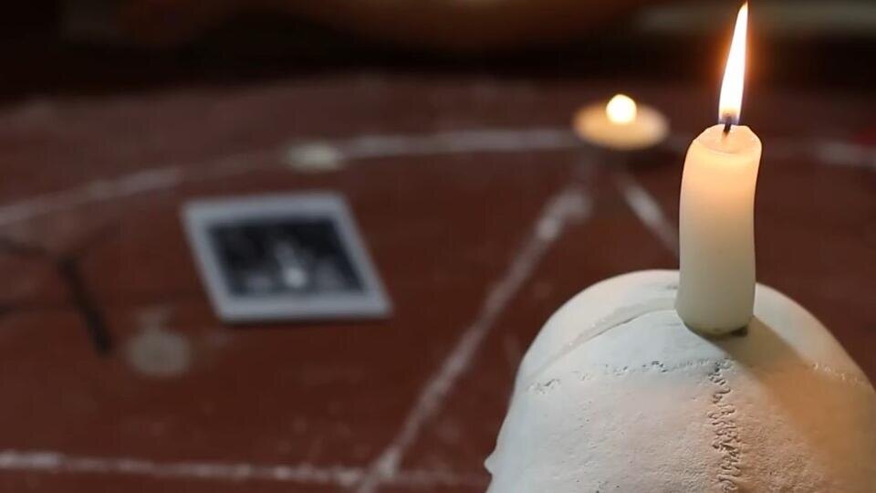 Фото: © Кадр из программы "Как устроен мир", РЕН ТВ