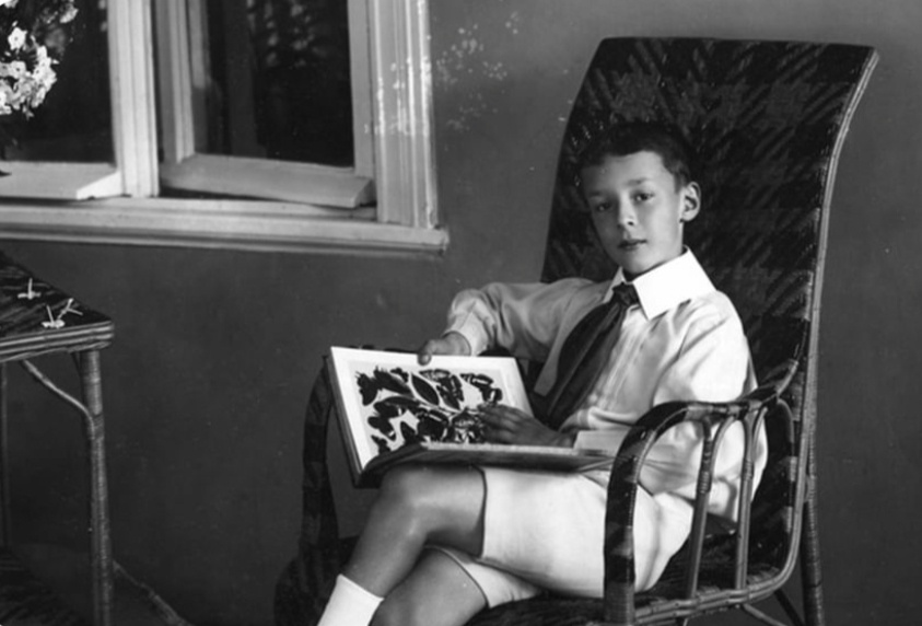 Владимир Набоков в детстве. 1907 год. 