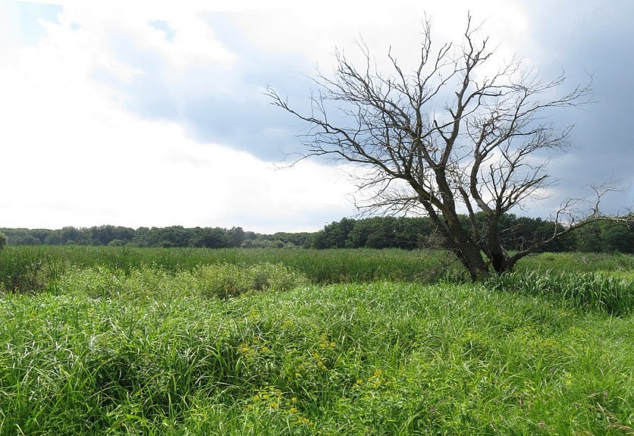 Фото: Правительство Курской области