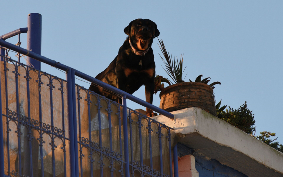 Просто боец...