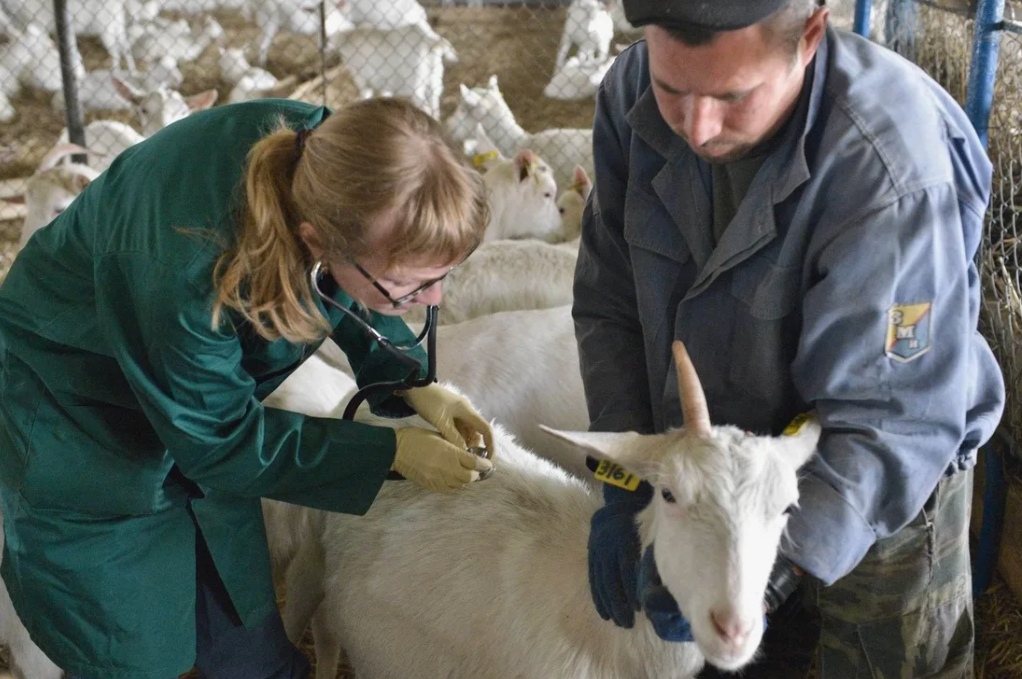 ВИДЕО ВНУТРИ СТАТЬИ