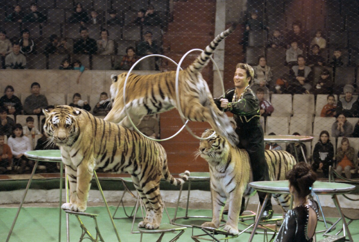 Фото: Фотохроника ТАСС /Воног Виктор