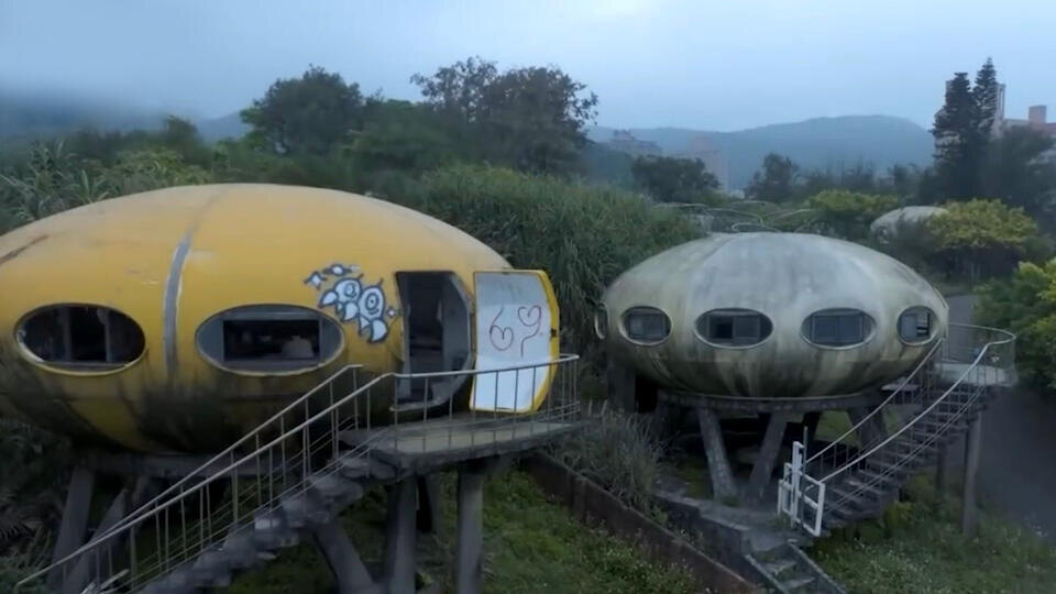 Фото: © Кадр из программы "Как устроен мир", РЕН ТВ