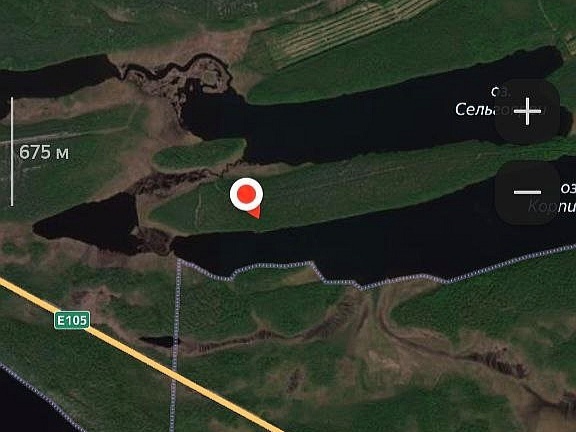    Пропавшая на севере Карелии пенсионерка три дня провела в лесу "ЛизаАлерт" Карелия / VK