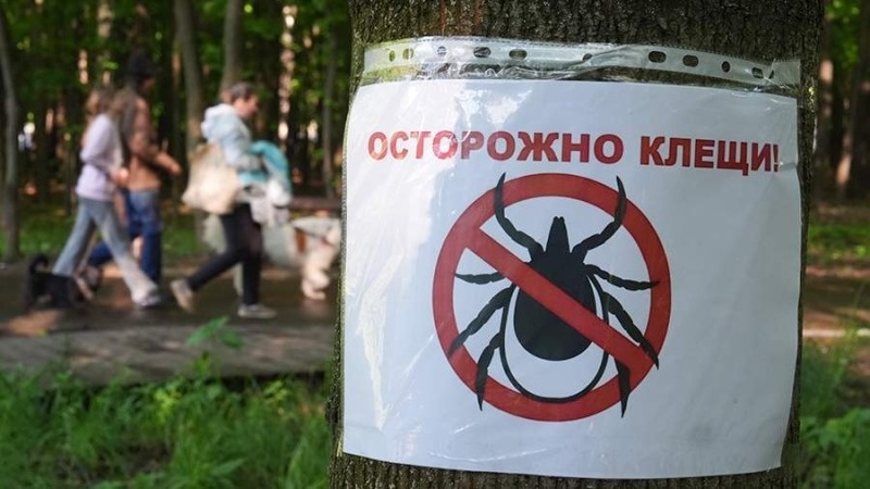 Отдыхая на природе, будьте осторожны