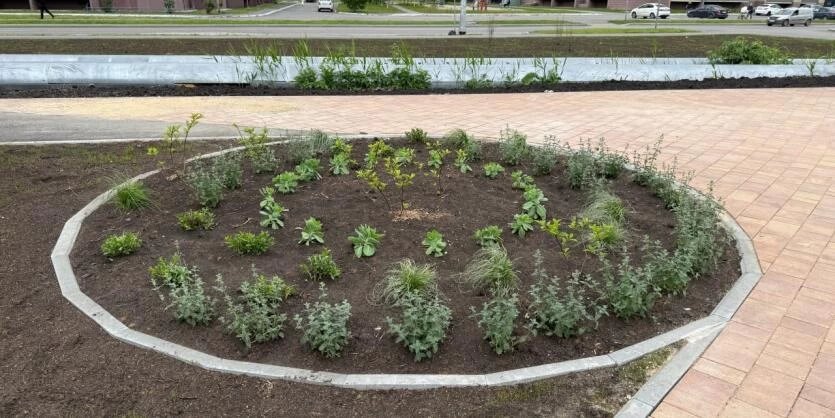 Фото: Администрация Челябинска