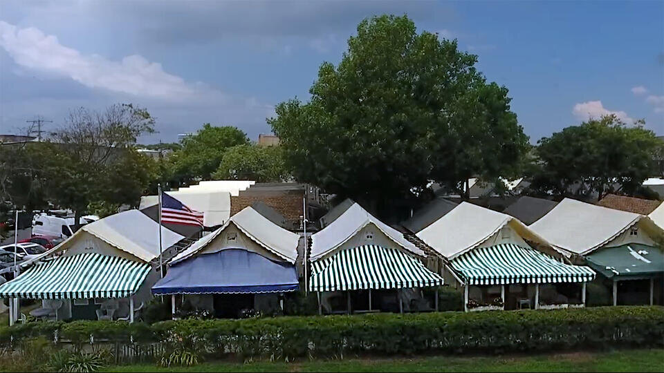 Фото: © Кадр из программы "Как устроен мир", РЕН ТВ