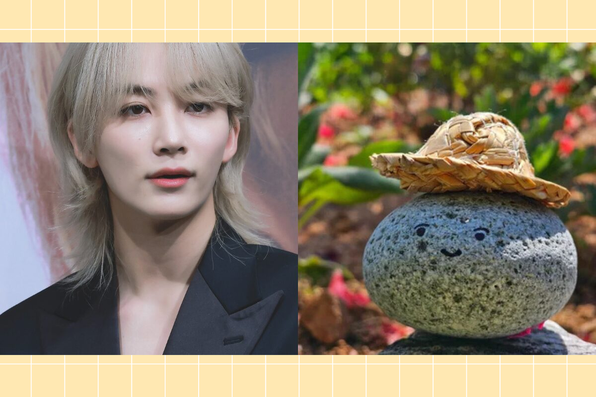     Необычный питомец: история дружбы Джонхан из SEVENTEEN и его камня Дольчжона