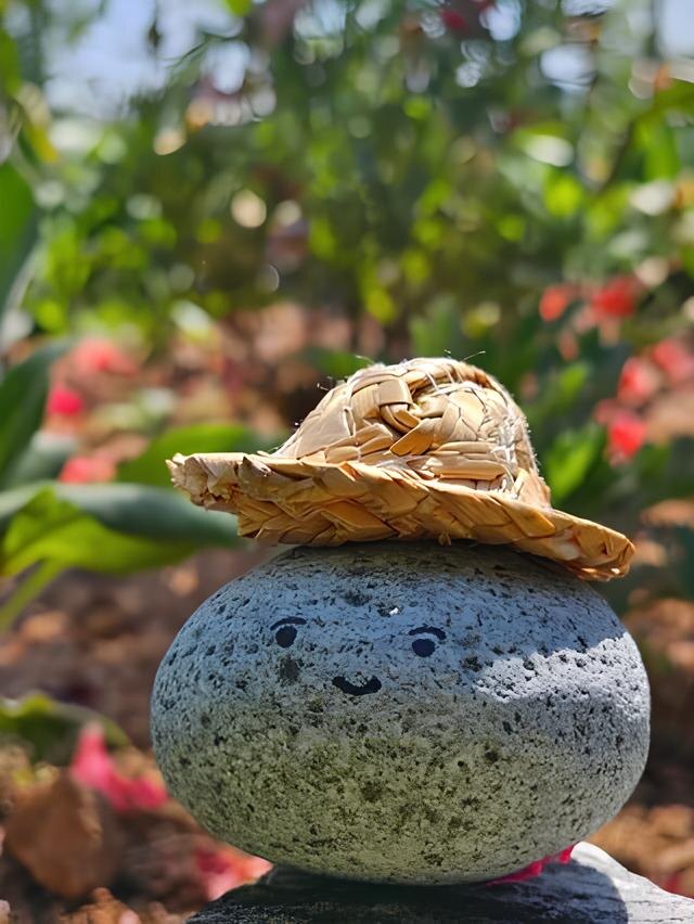    ДольчжонСоцсети