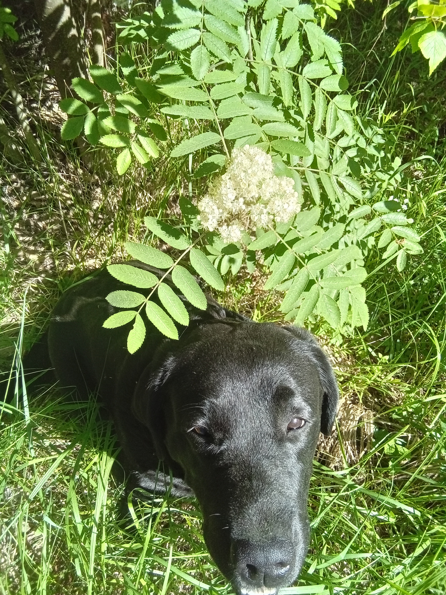 Фото автора.