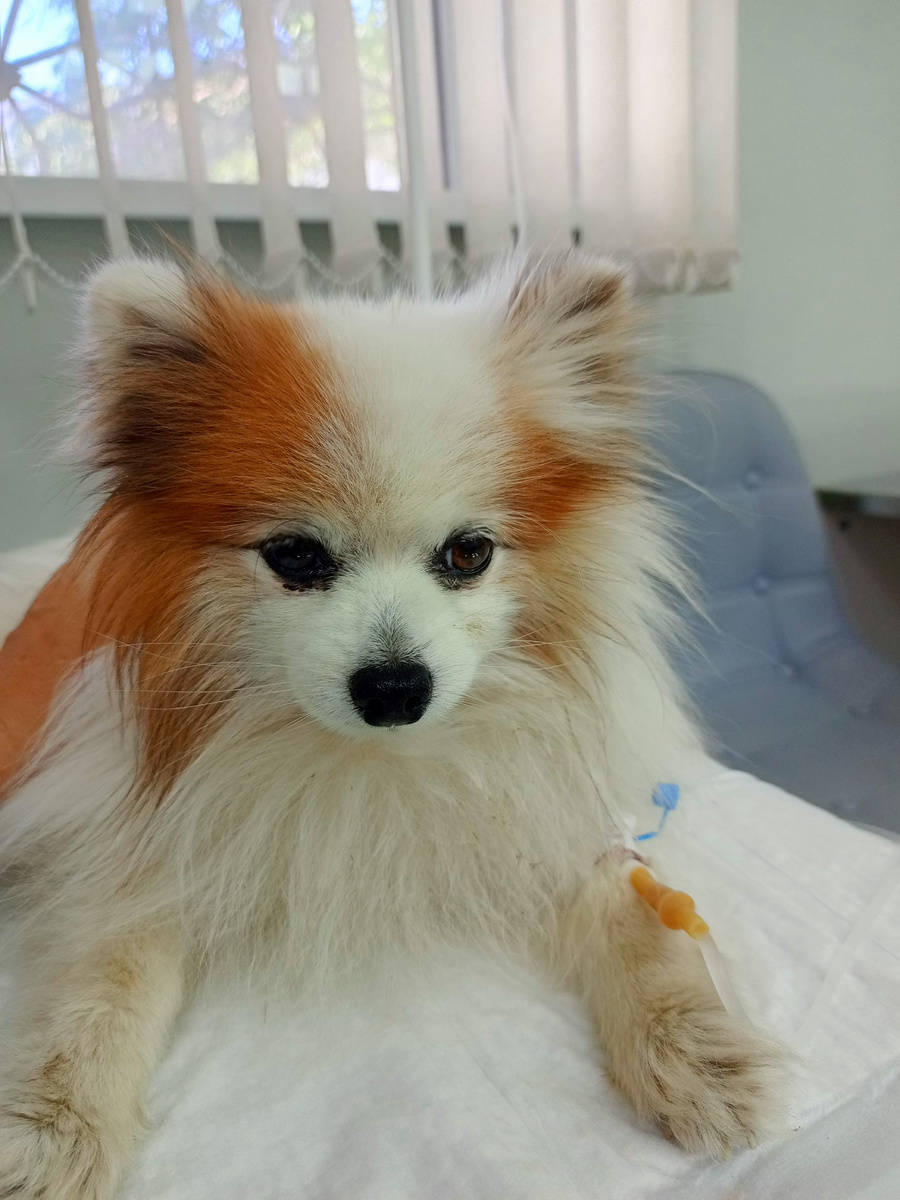 В нас вливают жизнь