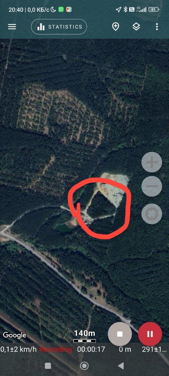 Вот этого леса внезапно не стало