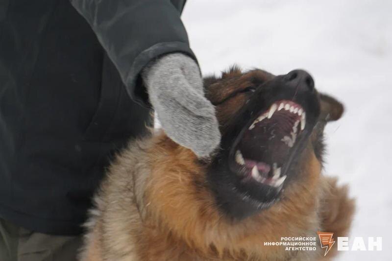    Архивное фото ЕАН
