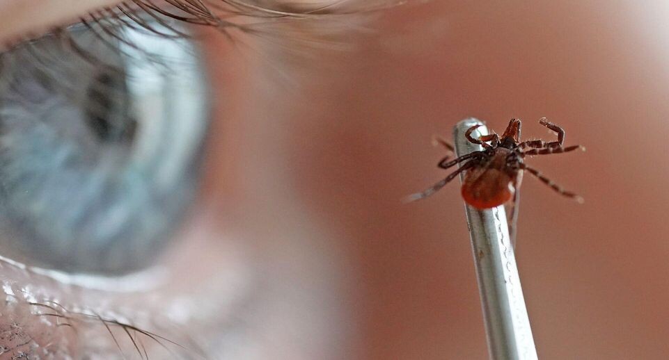    РИА «Новости»