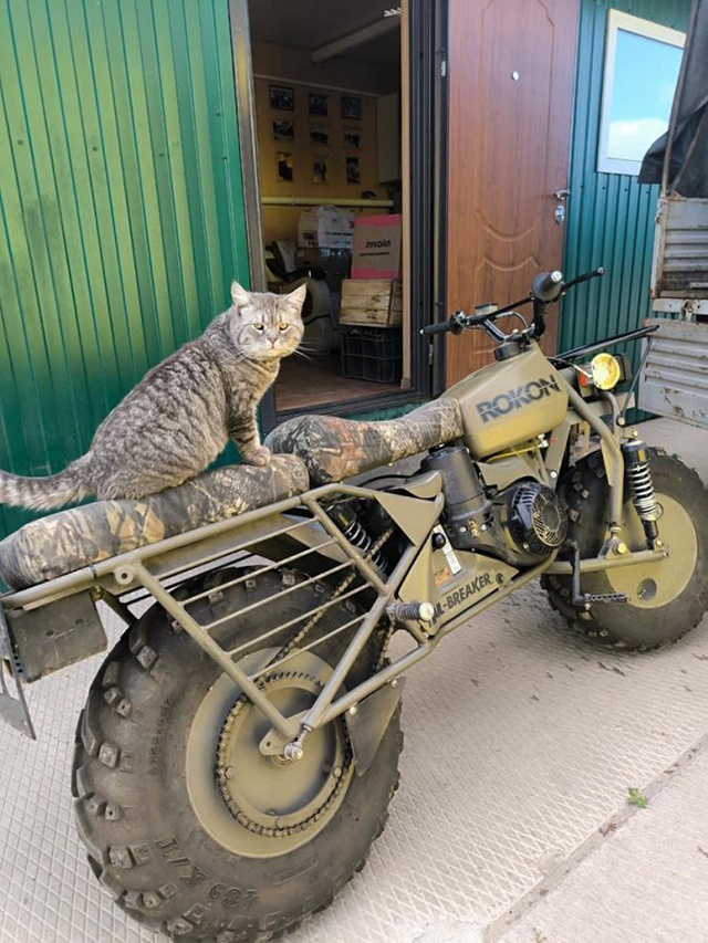 Из города Кашин Тверской области в зону СВО отправлен гуманитарный груз