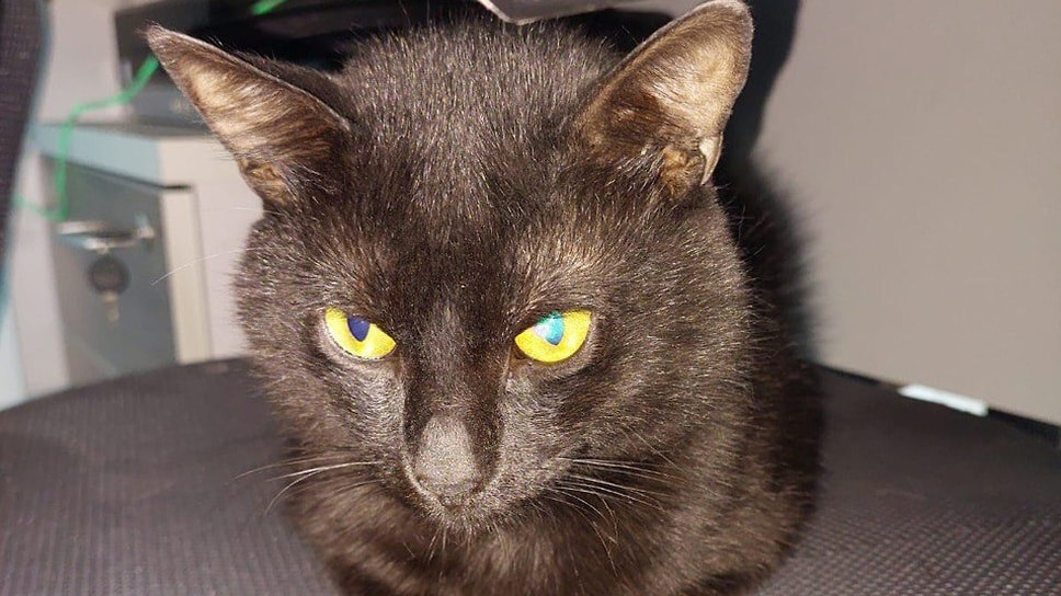 Фото: Транспортная группа Fesco