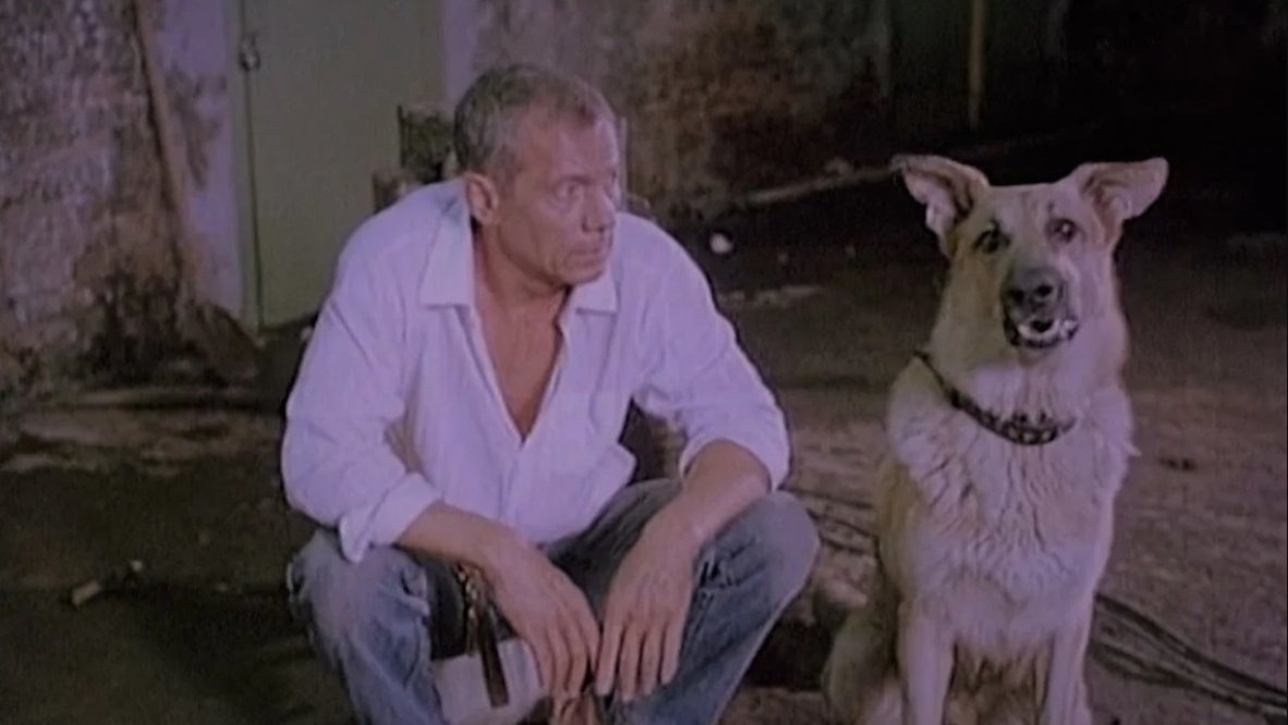 Изображение из открытых источников