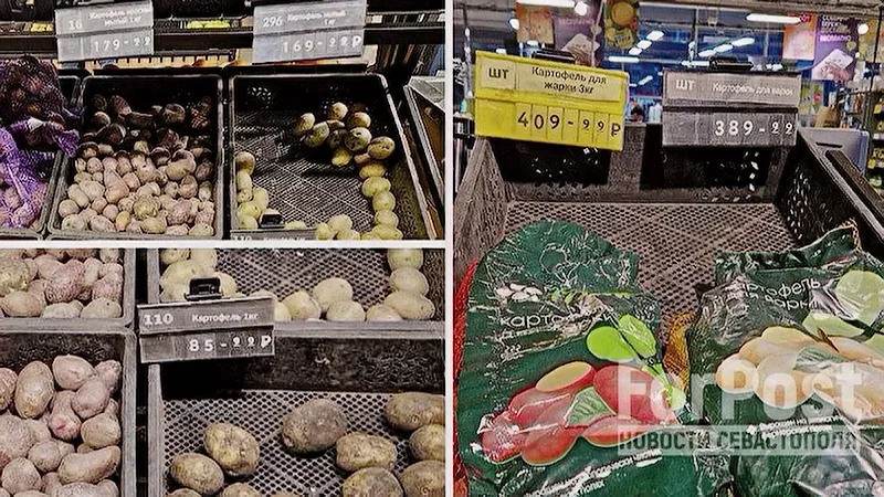 Как египетский картофель вытесняет русский. Фото: коллаж ForPost