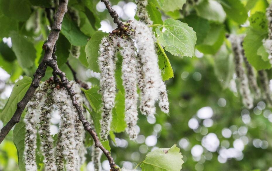    Сергей Булкин/NEWS.ru