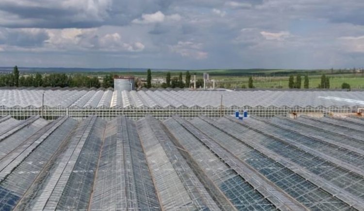    Саратовская область планирует нарастить поставки тепличных овощей в другие регионы