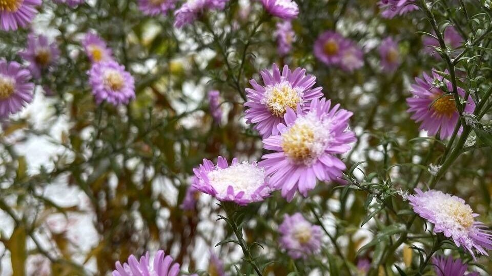     Источник: 1MI