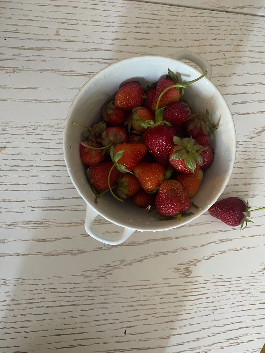 Первая клубника. 