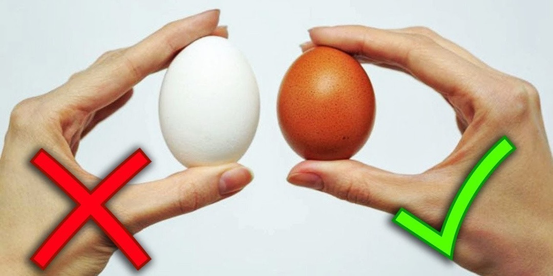 Как влияет регулярное употребление яиц на обмен веществ и печень