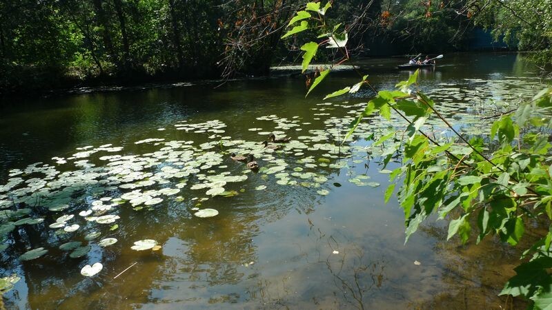     / Источник: ©Известия