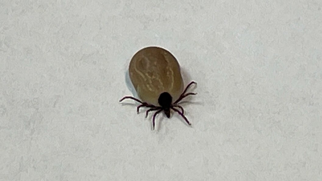    Petrov Sergey/news.ru/Globallookpress