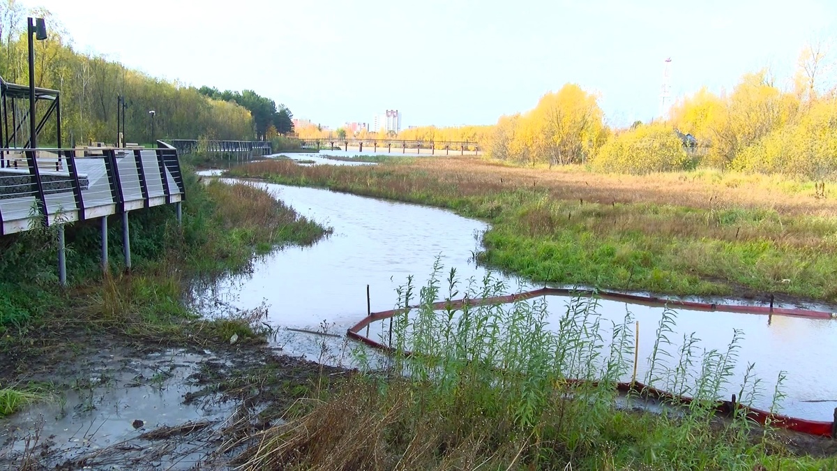    В Сургуте приступили к очистке реки Сайма