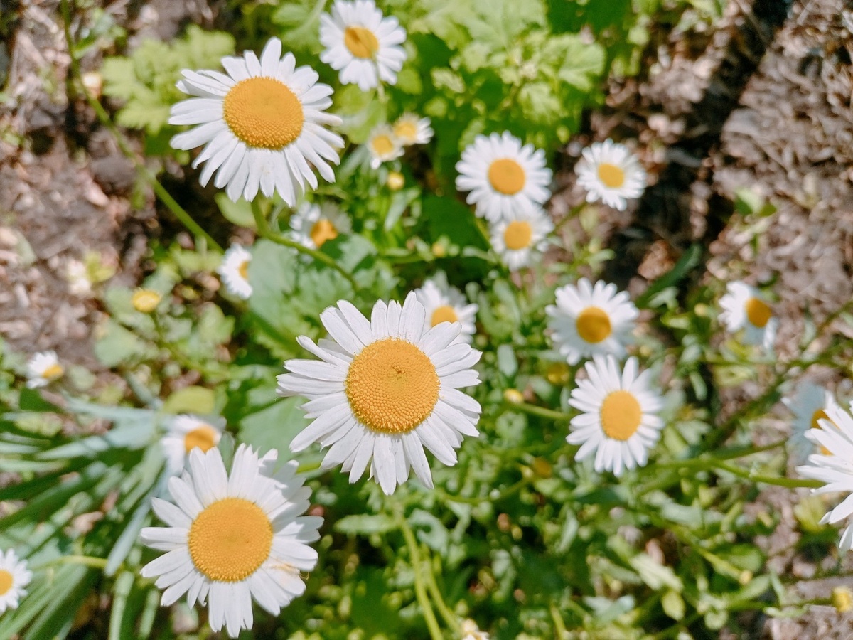    Фото: Марина Куцина